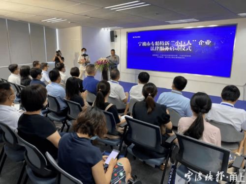 精准定位 精心谋划 精湛服务 宁波打造专精特新 小巨人 企业定制服务体系综述