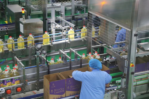 偏远小岛崛起 世界级工厂 浙江自贸区创新成果不断