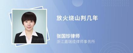 如果不开工资,民事纠纷故意放火烧工厂要判几年?