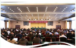 宁波市律师协会网